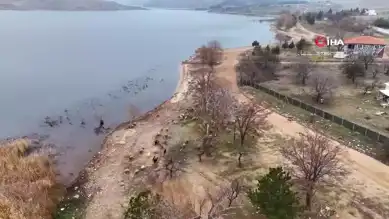 İstanbul'dan Köye: Huzur ve Hayvancılık