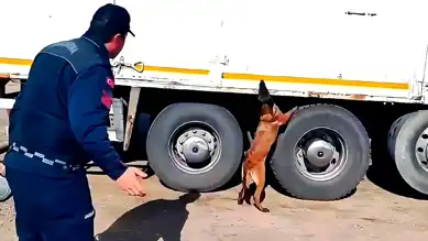 Kırıkkale'de 1 Ton Kaçak Tütün Ele Geçirildi